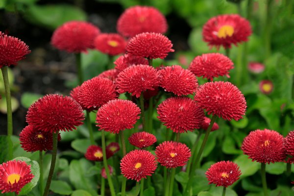 Quels sont les diagnostics obligatoires avant de mettre à louer un appartement ?